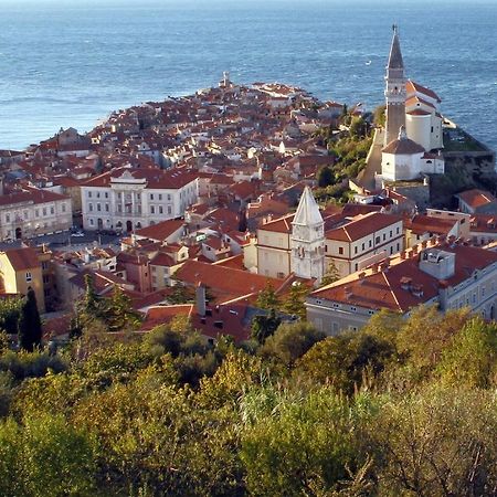 Sea View Istrian Countryside Apartment - Rota Dragonja Bagian luar foto