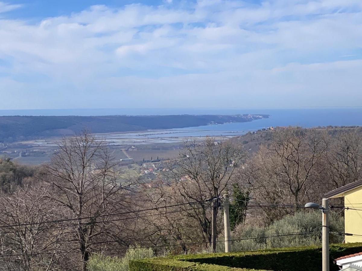 Sea View Istrian Countryside Apartment - Rota Dragonja Bagian luar foto