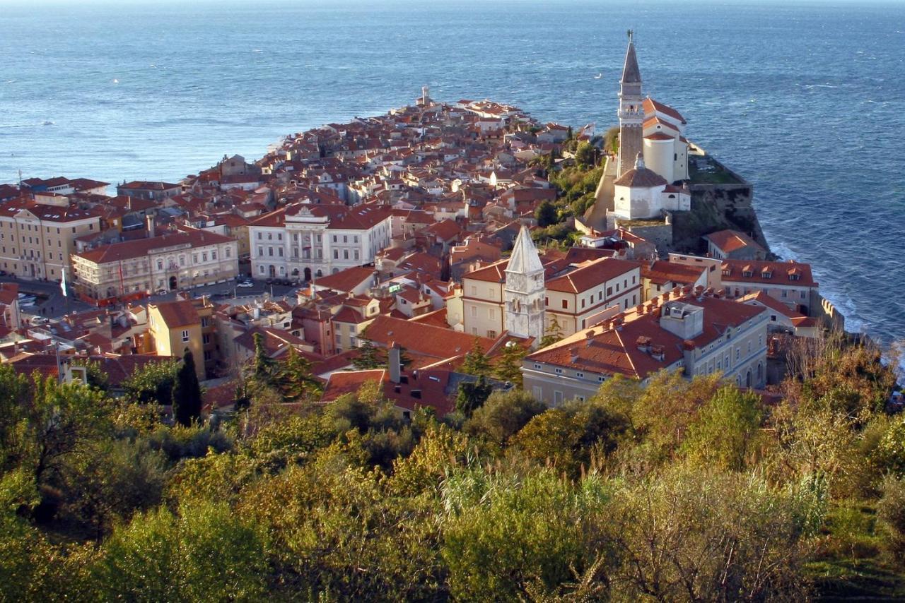 Sea View Istrian Countryside Apartment - Rota Dragonja Bagian luar foto