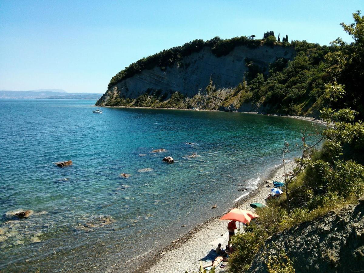 Sea View Istrian Countryside Apartment - Rota Dragonja Bagian luar foto